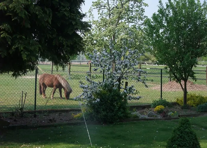 Gocher Berghof Langanke